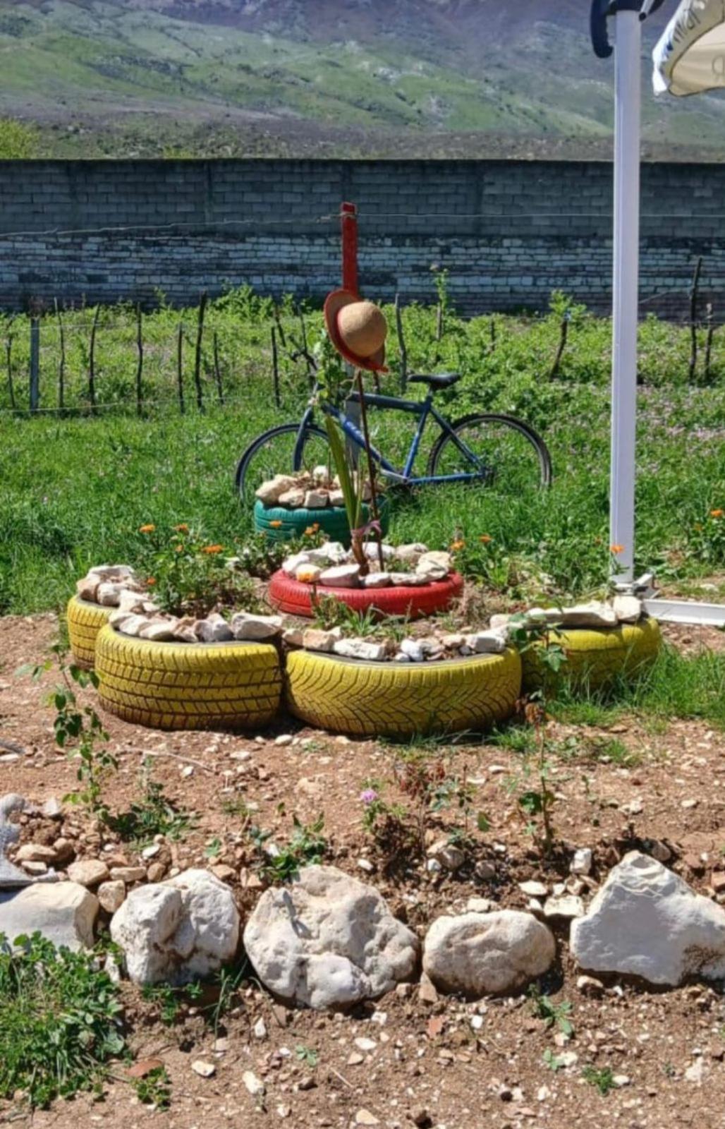 Viroi