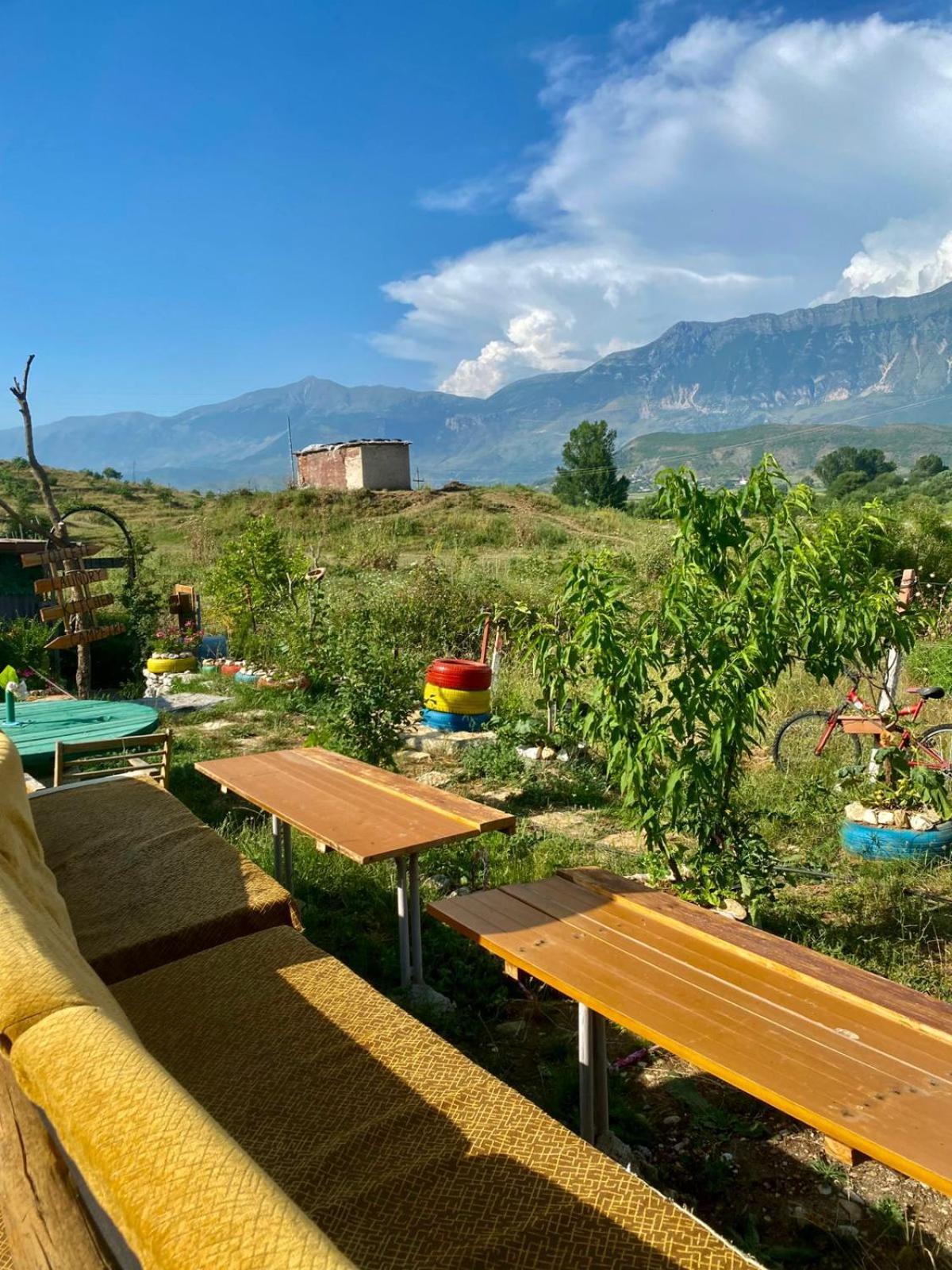 Viroi Gjirokaster