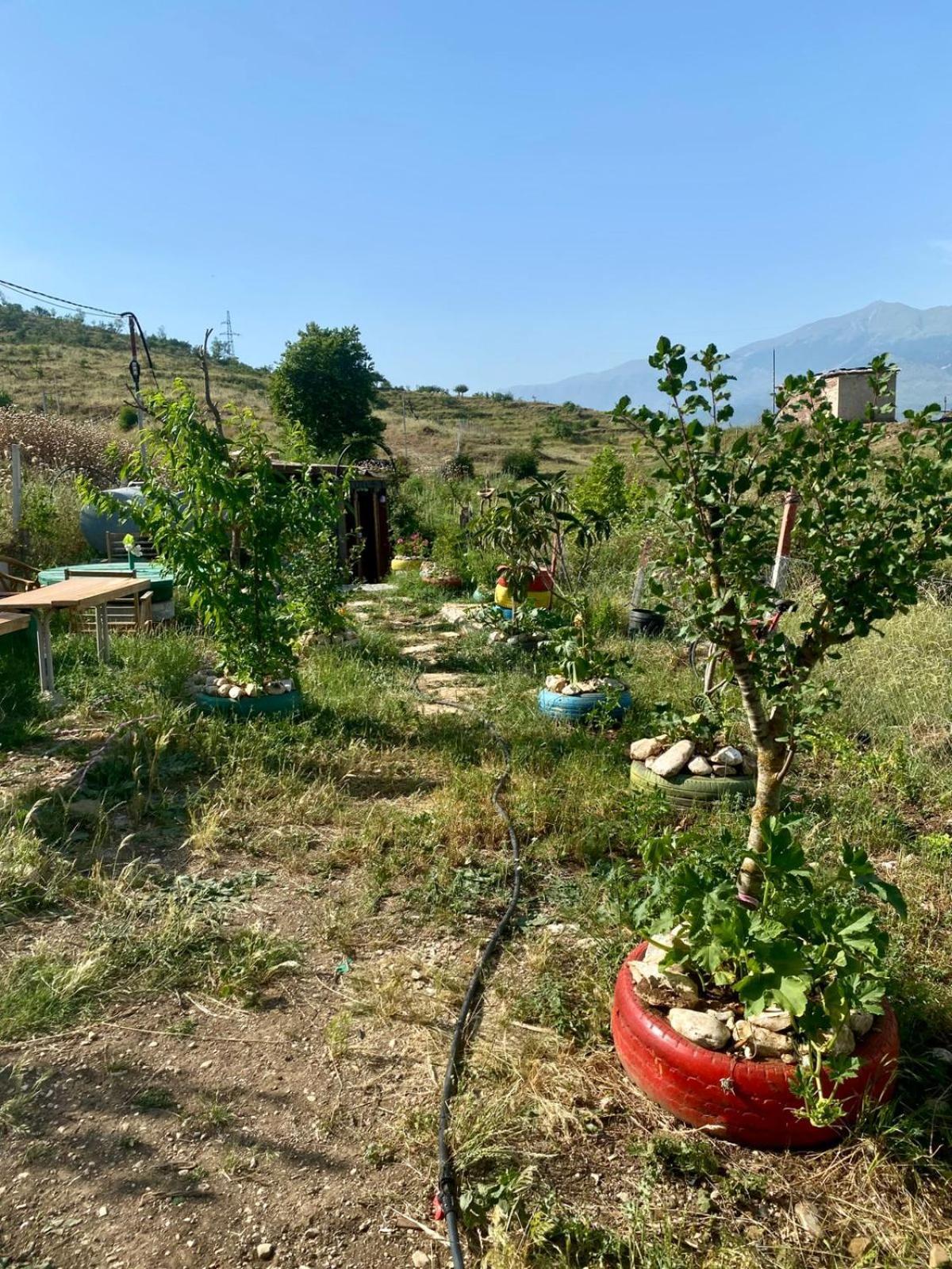 Viroi Campsite